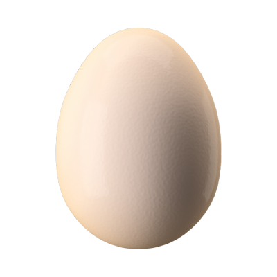 Egg